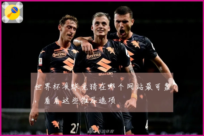 世界杯滚球竞猜在哪个网站最可靠，看看这些推荐选项