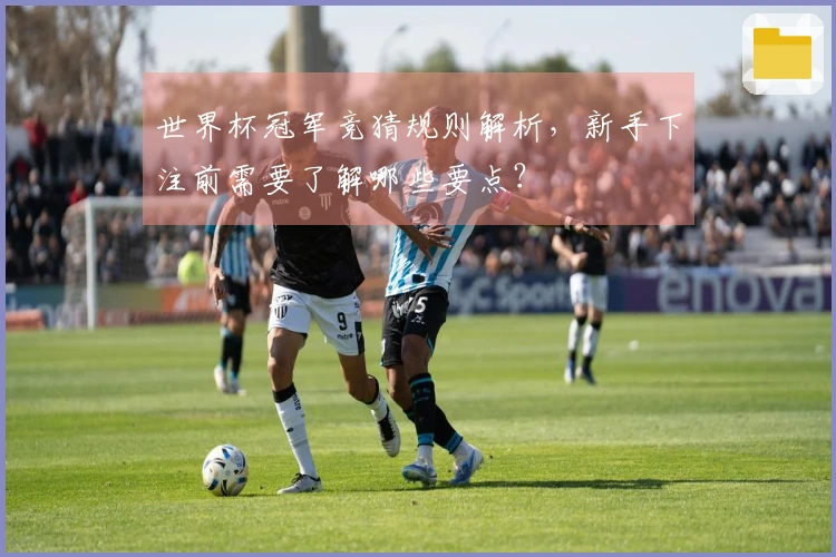 世界杯冠军竞猜规则解析，新手下注前需要了解哪些要点？