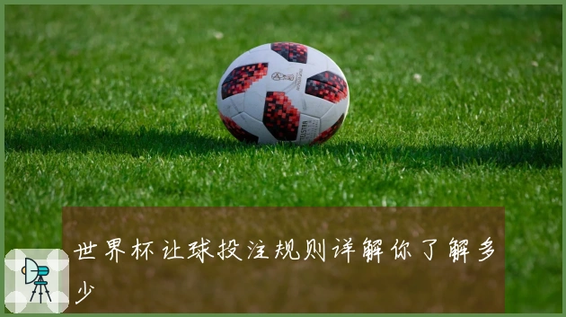 世界杯让球投注规则详解你了解多少