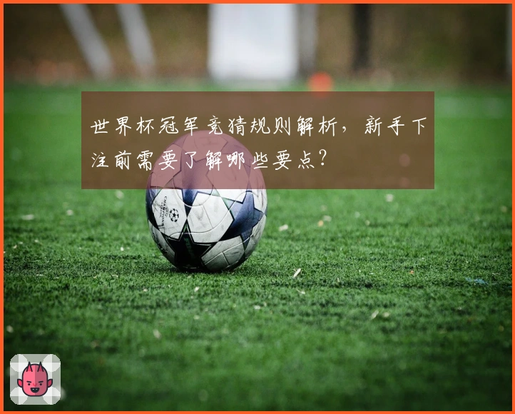 世界杯冠军竞猜规则解析，新手下注前需要了解哪些要点？