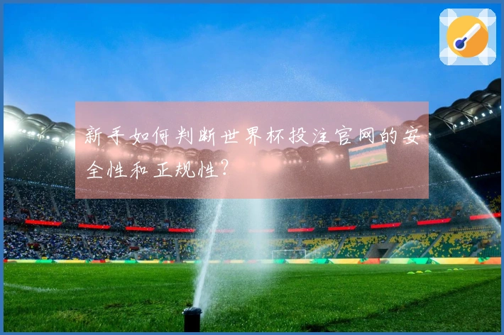 新手如何判断世界杯投注官网的安全性和正规性？