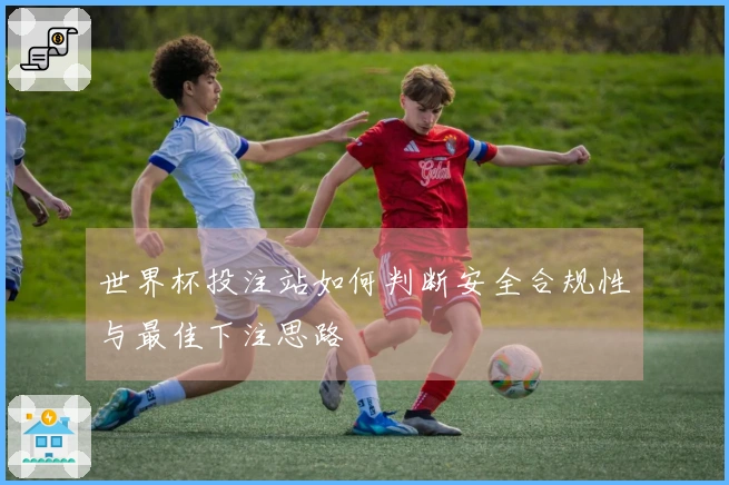 世界杯投注站如何判断安全合规性与最佳下注思路