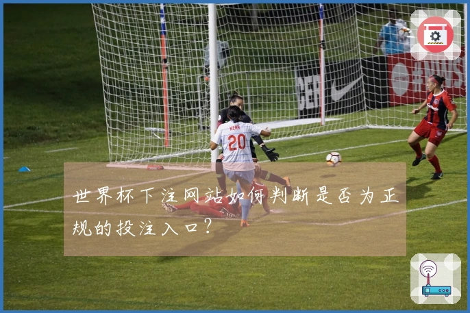 世界杯下注网站如何判断是否为正规的投注入口？