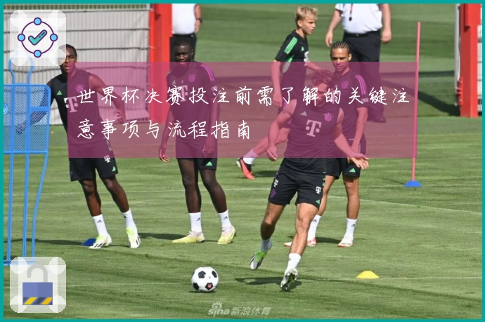 世界杯决赛投注前需了解的关键注意事项与流程指南