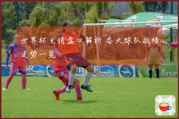 世界杯竞猜盘口解析 各大球队战绩走势一览