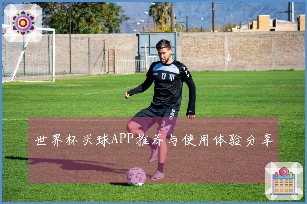 世界杯买球APP推荐与使用体验分享