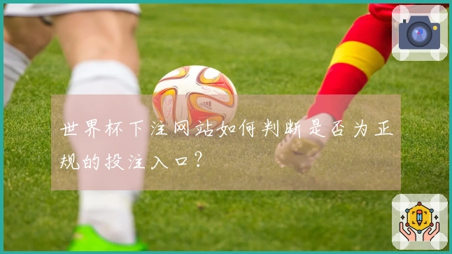 世界杯下注网站如何判断是否为正规的投注入口？