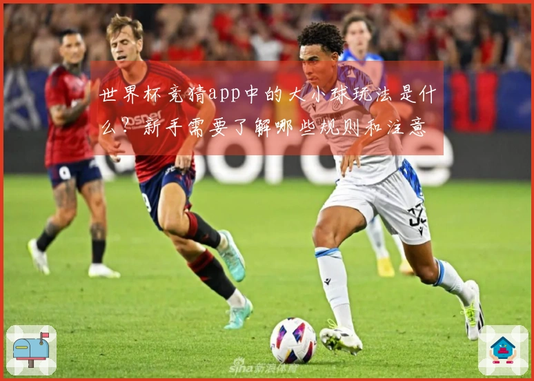 世界杯竞猜app中的大小球玩法是什么？新手需要了解哪些规则和注意事项？