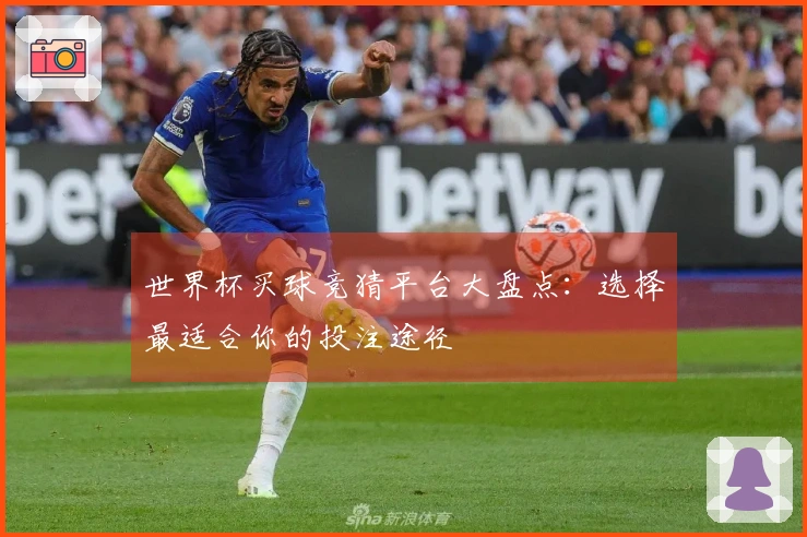 世界杯买球竞猜平台大盘点：选择最适合你的投注途径