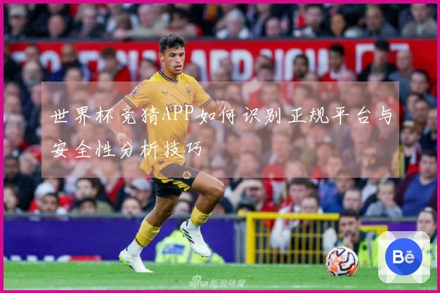 世界杯竞猜APP如何识别正规平台与安全性分析技巧