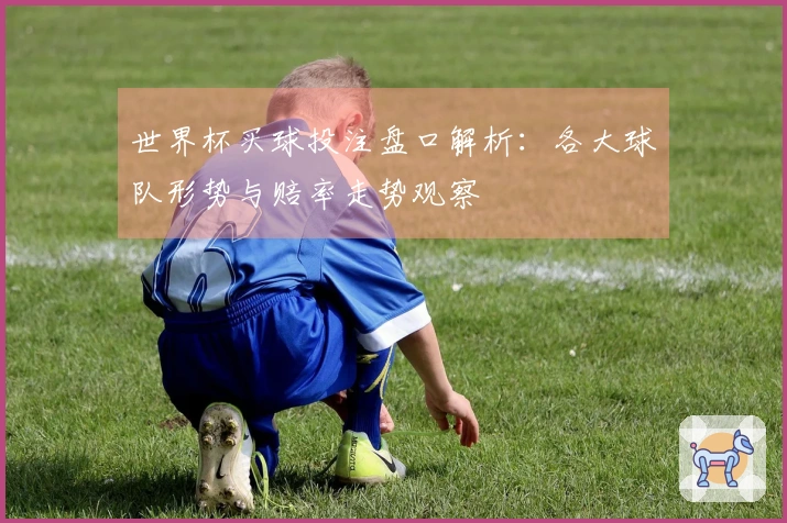 世界杯买球投注盘口解析：各大球队形势与赔率走势观察