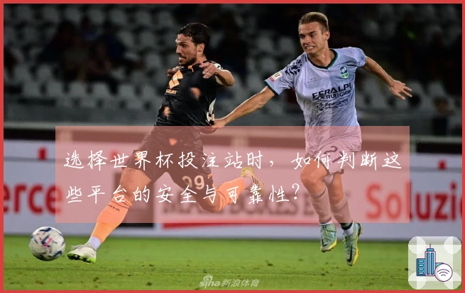 选择世界杯投注站时，如何判断这些平台的安全与可靠性？