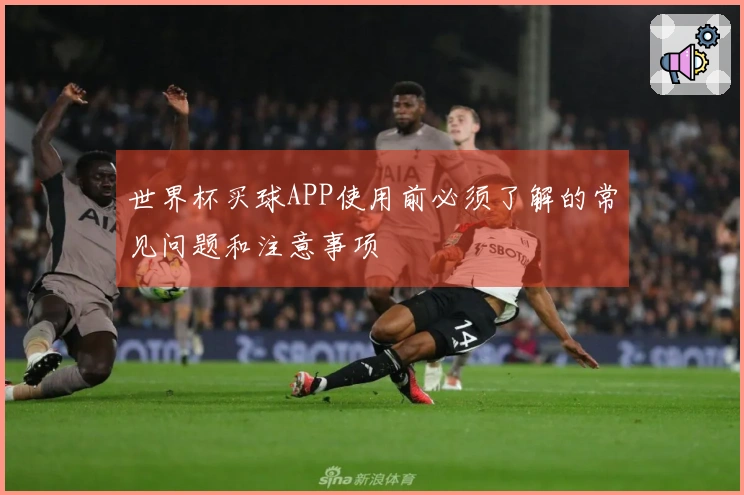 世界杯买球APP使用前必须了解的常见问题和注意事项