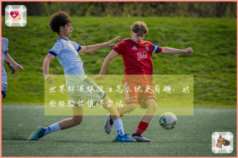 世界杯滚球投注怎么玩更有趣，这些经验你值得尝试