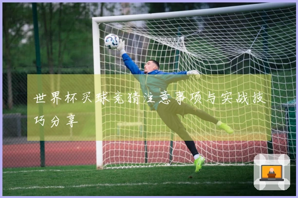 世界杯买球竞猜注意事项与实战技巧分享