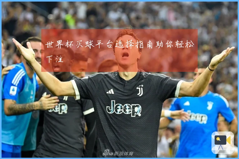 世界杯买球平台选择指南助你轻松下注