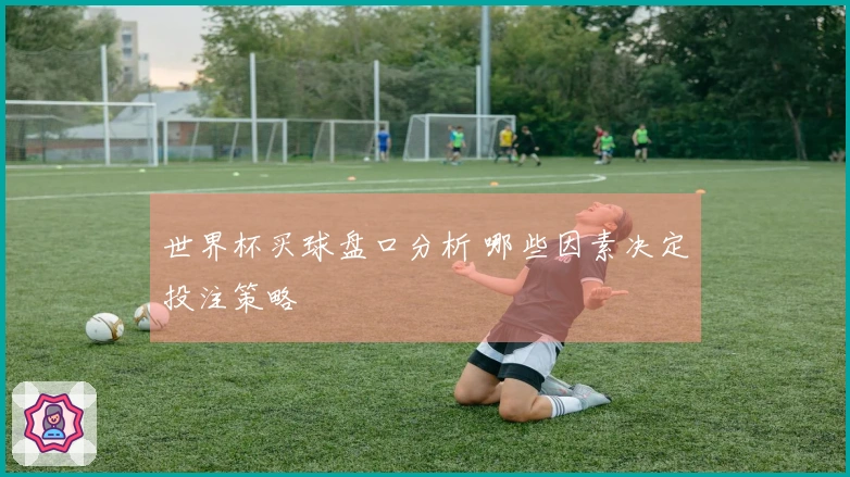 世界杯买球盘口分析 哪些因素决定投注策略