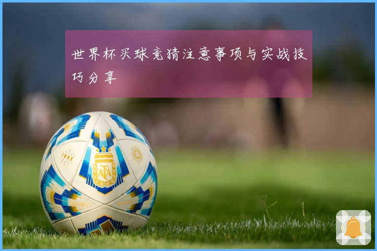 世界杯买球竞猜注意事项与实战技巧分享