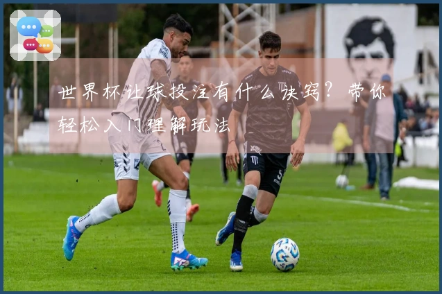 世界杯让球投注有什么诀窍？带你轻松入门理解玩法