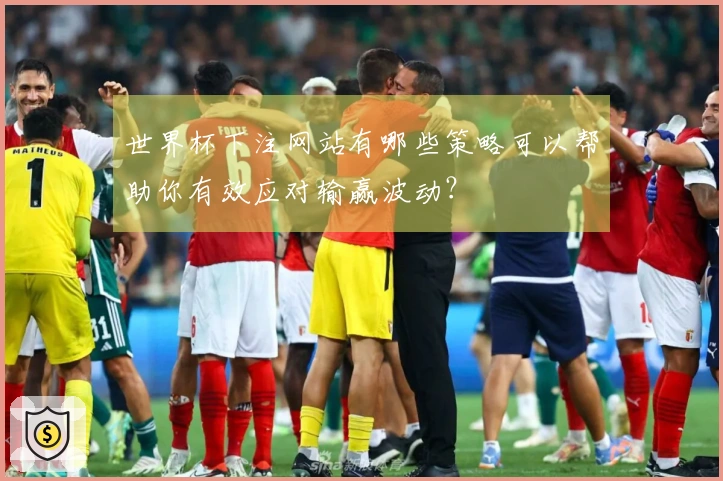 世界杯下注网站有哪些策略可以帮助你有效应对输赢波动？