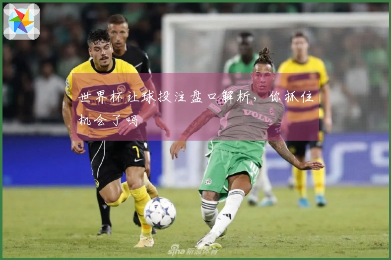 世界杯让球投注盘口解析，你抓住机会了吗