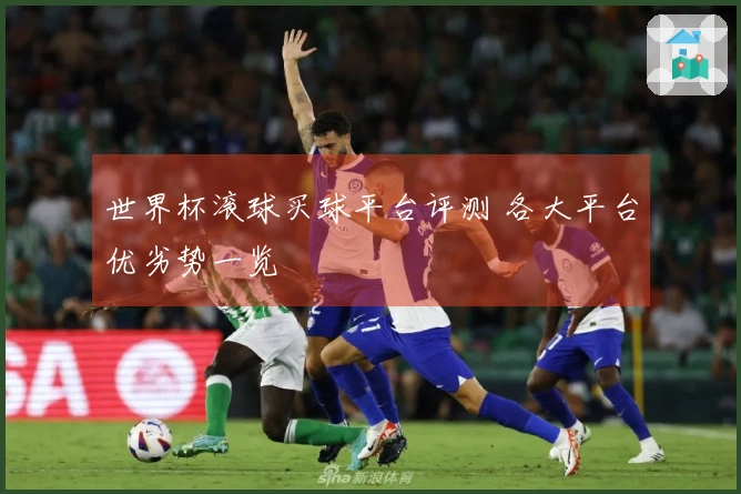 世界杯滚球买球平台评测 各大平台优劣势一览