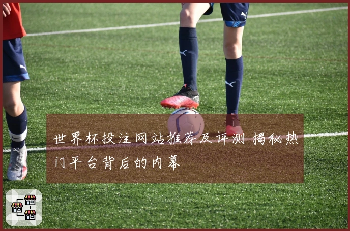 世界杯投注网站推荐及评测 揭秘热门平台背后的内幕
