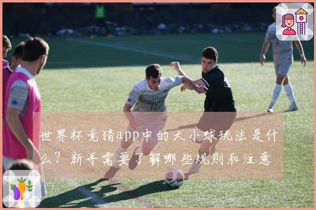 世界杯竞猜app中的大小球玩法是什么？新手需要了解哪些规则和注意事项？