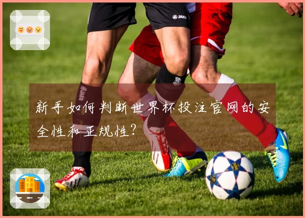 新手如何判断世界杯投注官网的安全性和正规性？