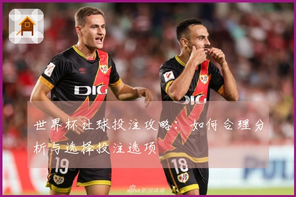 世界杯让球投注攻略：如何合理分析与选择投注选项