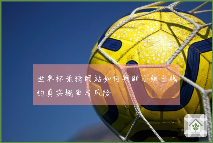 世界杯竞猜网站如何判断小组出线的真实概率与风险