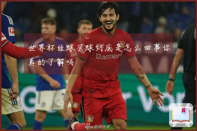 世界杯让球买球到底是怎么回事你真的了解吗