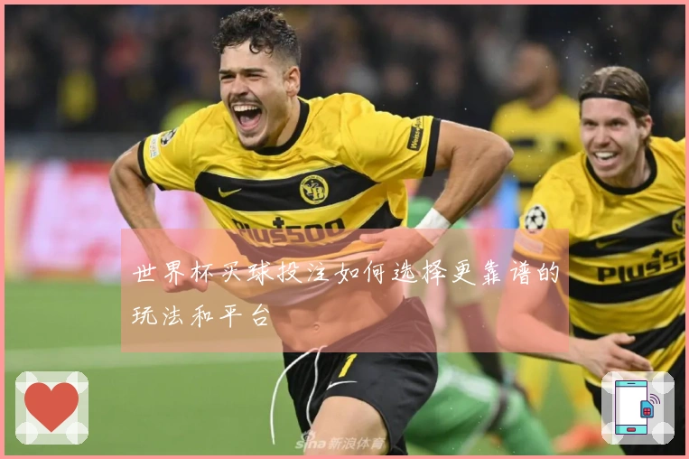 世界杯买球投注如何选择更靠谱的玩法和平台