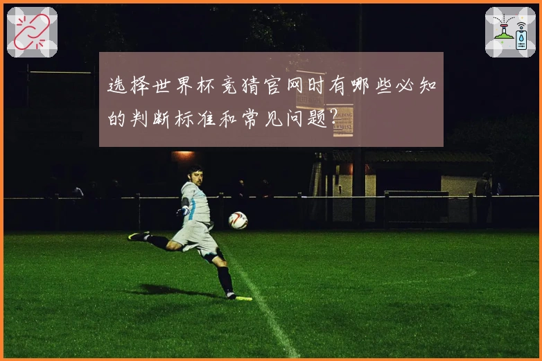 选择世界杯竞猜官网时有哪些必知的判断标准和常见问题？