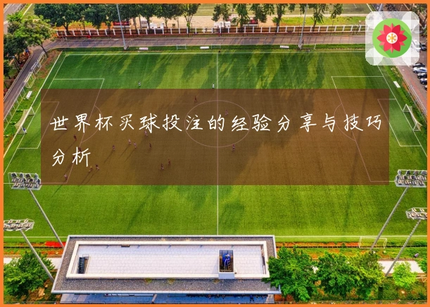 世界杯买球投注的经验分享与技巧分析
