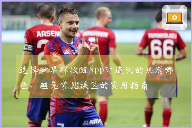 选择世界杯投注app时遇到的坑有哪些，避免常见误区的实用指南