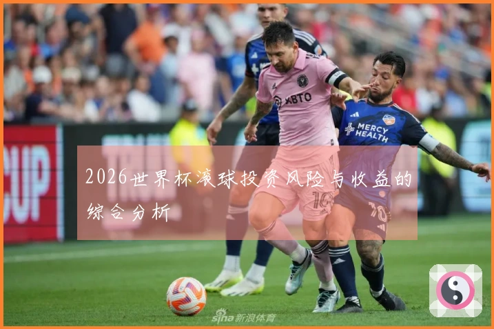 2026世界杯滚球投资风险与收益的综合分析